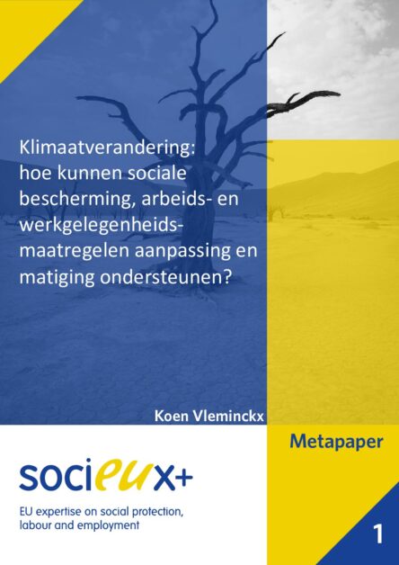 Klimaatverandering: hoe kunnen sociale bescherming, arbeids- en werkgelegenheids- maatregelen aanpassing en matiging ondersteunen?