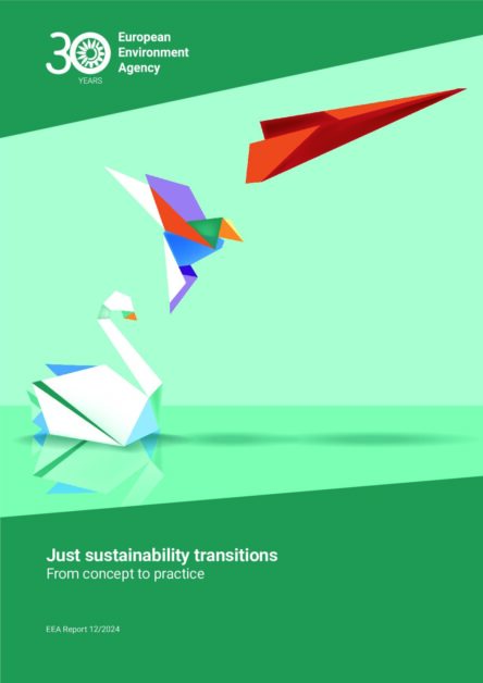 Just sustainability transitions — From concept to practice