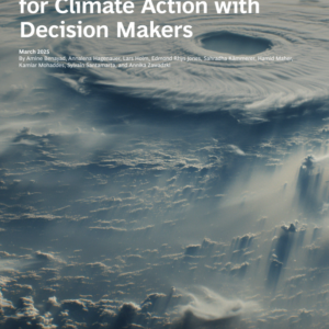 Landing the Economic Case for Climate Action with Decision Makers