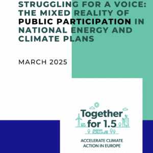 Struggling for a Voice: The Mixed Reality of Public Participation in National Energy and Climate Plans