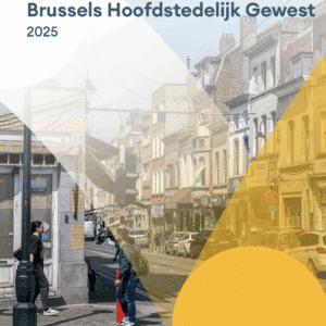 Energiedeprivatie in het Brussels Hoofdstedelijk Gewest