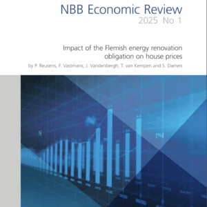 Impact of the Flemish energy renovation obligation on house prices