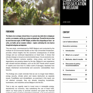 Weathering the storm: Climateflation & fossilflation in Belgium