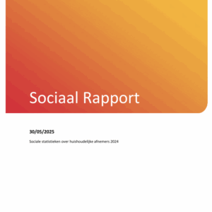 Sociaal Rapport VREG - Sociale statistieken over huishoudelijke afnemers 2024