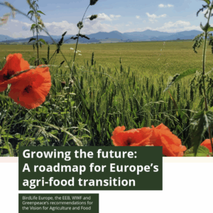 Growing the future: A roadmap for Europe’s agri‑food transition