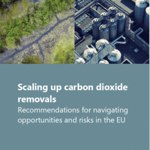 Scaling up carbon dioxide removals – Recommendations for navigating opportunities and risks in the EU