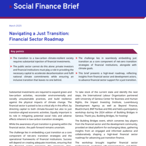 Social Finance Brief: Navigating a Just Transition – Financial Sector Roadmap